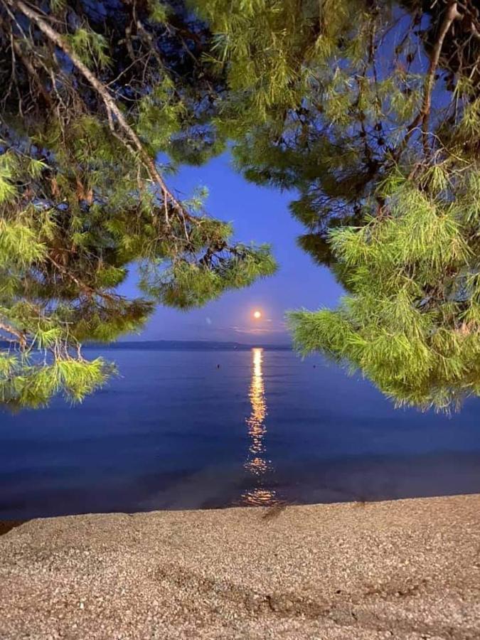 Apartman Magdalena Galileo Plaza Makarska Luaran gambar